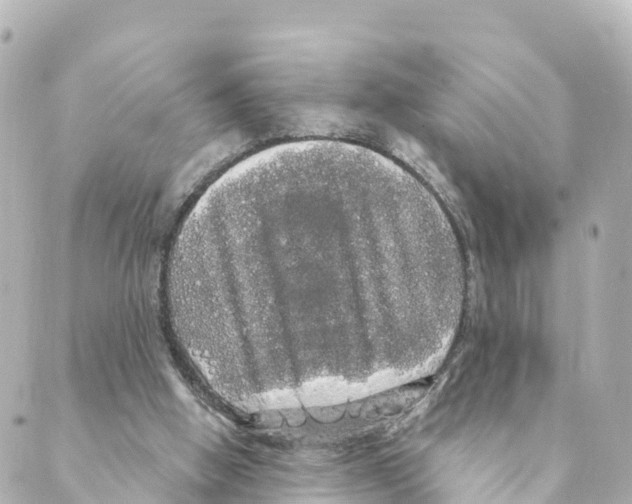 X0000088590058200706221351