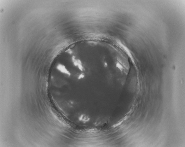 X0000088590059200706221351