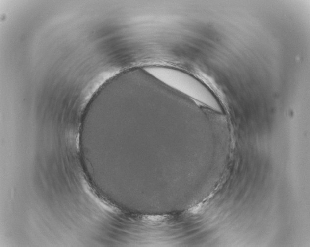 X0000088590060200706221351