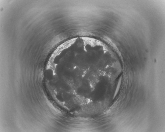 X0000088590063200706221351