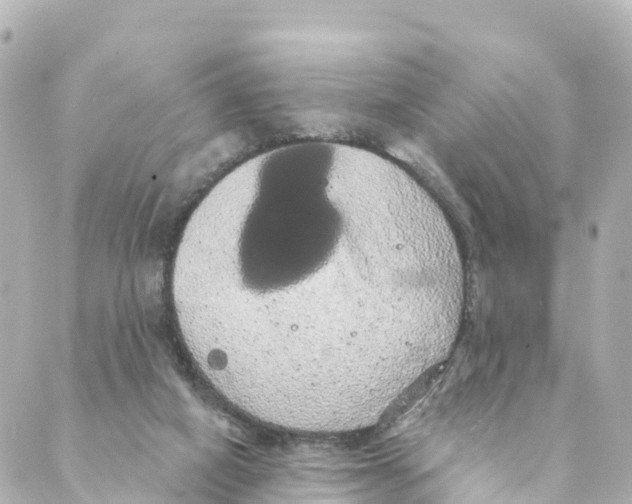 X0000088590066200706221351