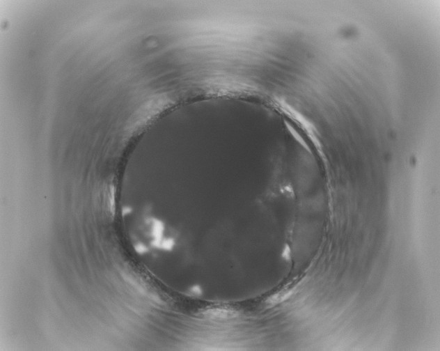 X0000088590067200706221351