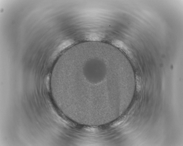 X0000088590071200706221351