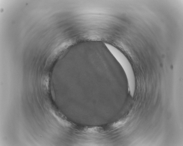 X0000088590072200706221351