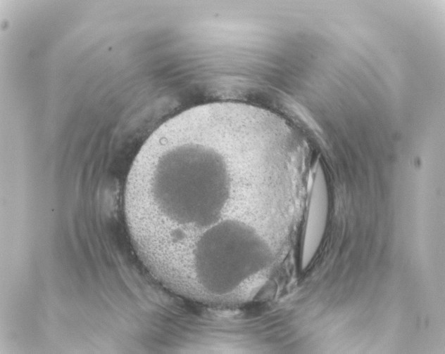 X0000088590073200706221351