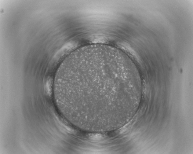 X0000088590074200706221351