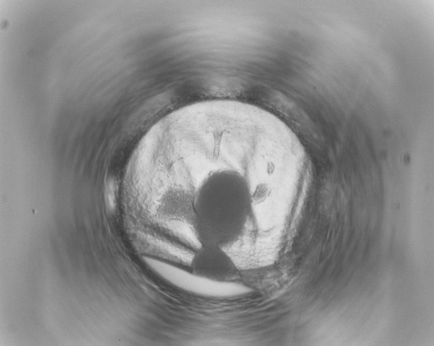 X0000088590075200706221351