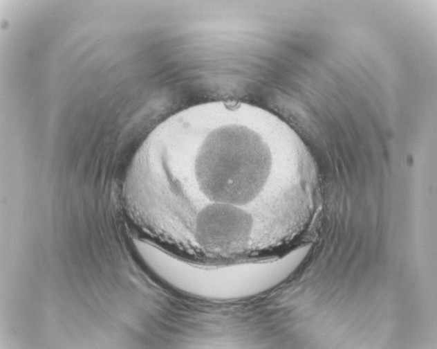 X0000088590077200706221351