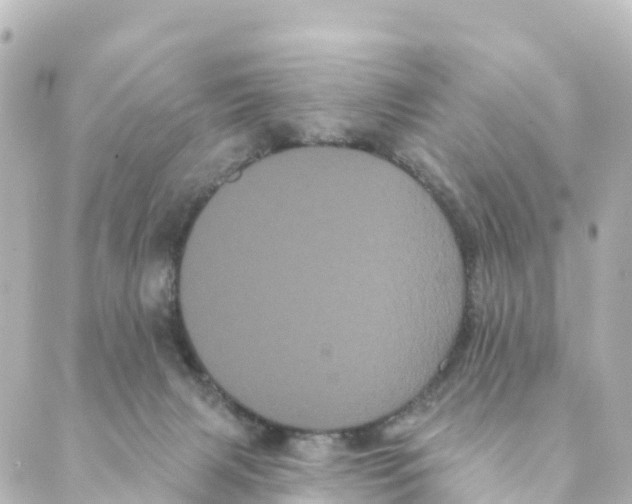 X0000088590079200706221351