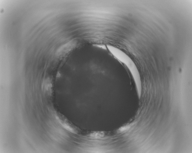 X0000088590080200706221351