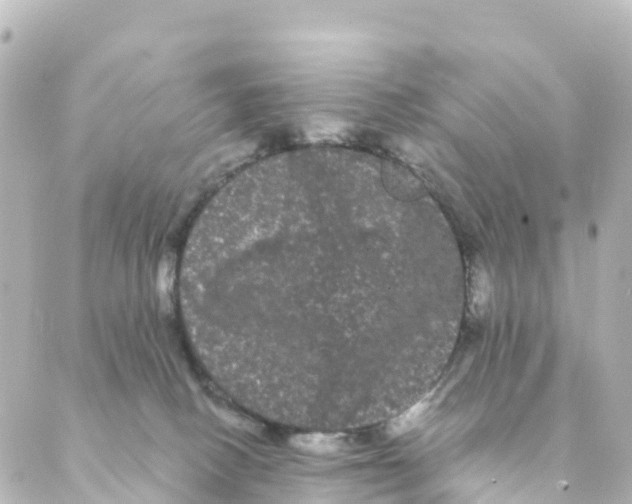 X0000088590082200706221351