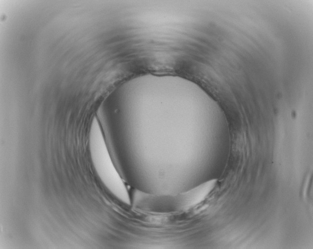 X0000088590084200706221351