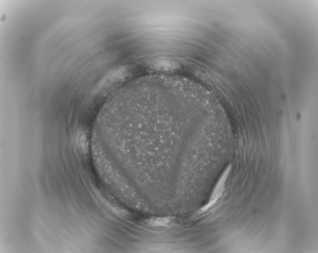 X0000088590086200706221351