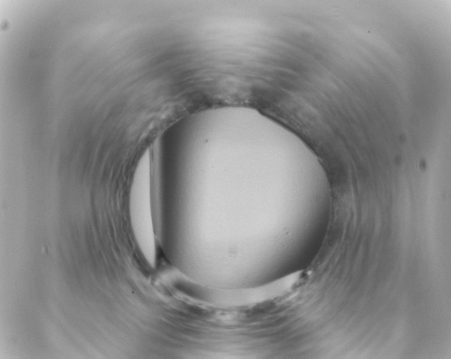 X0000088590088200706221352