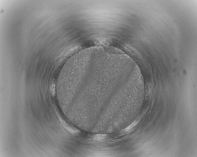 X0000088590090200706221352