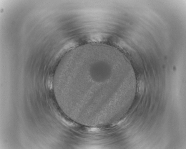 X0000088590091200706221352