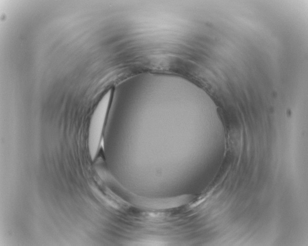 X0000088590092200706221352