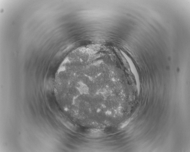 X0000088590093200706221352