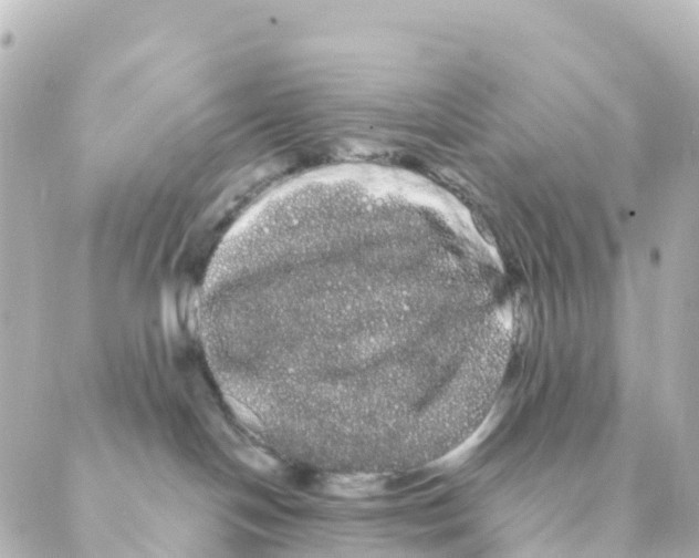 X0000088590094200706221352