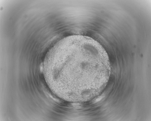 X0000088590095200706221352