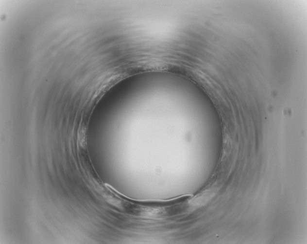 X0000088590096200706221352