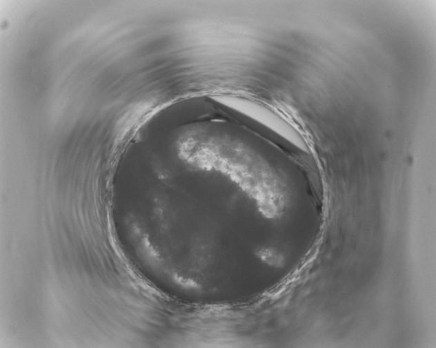 X0000088590097200706221351