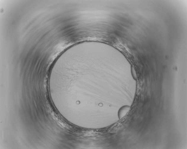 X0000088590098200706221351