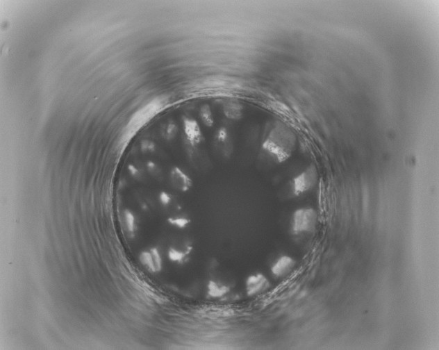 X0000088590099200706221351