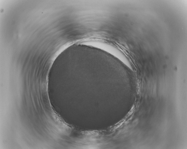 X0000088590100200706221351