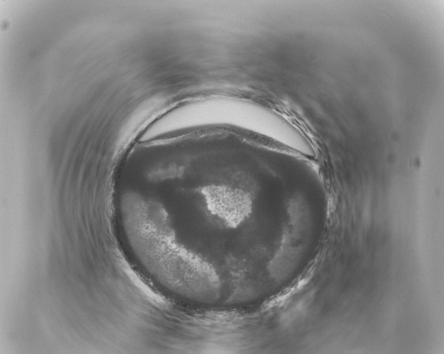 X0000088590101200706221351