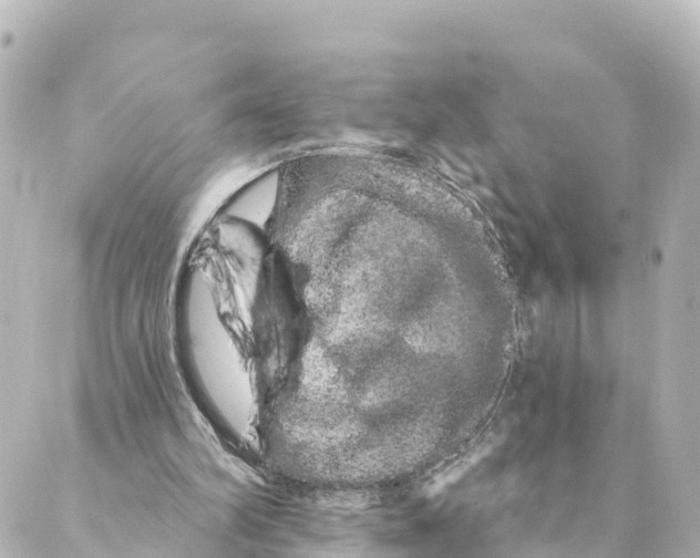 X0000088590102200706221351