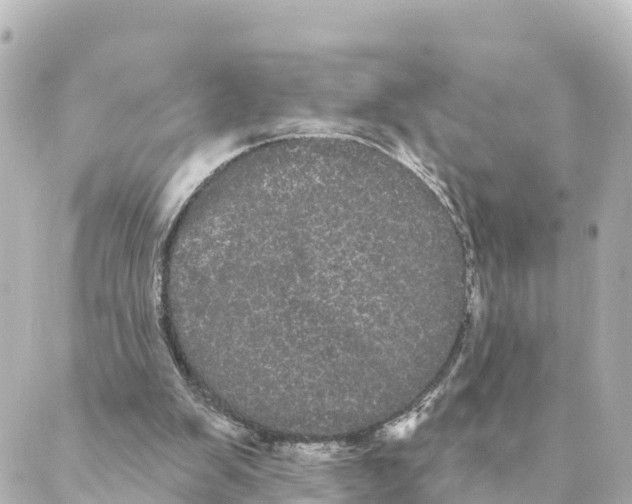 X0000088590103200706221351