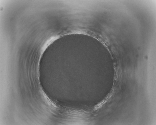 X0000088590104200706221351