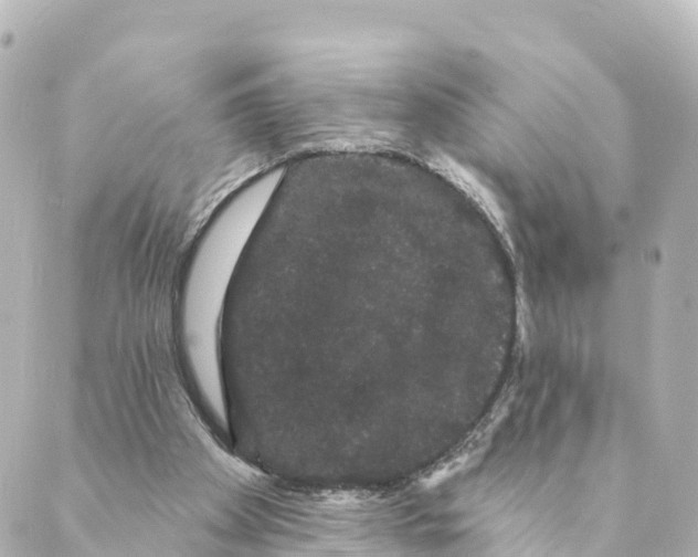 X0000088590105200706221351