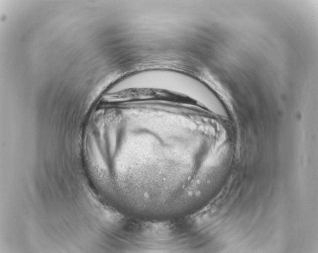 X0000088590107200706221351