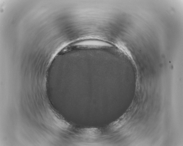 X0000088590108200706221351