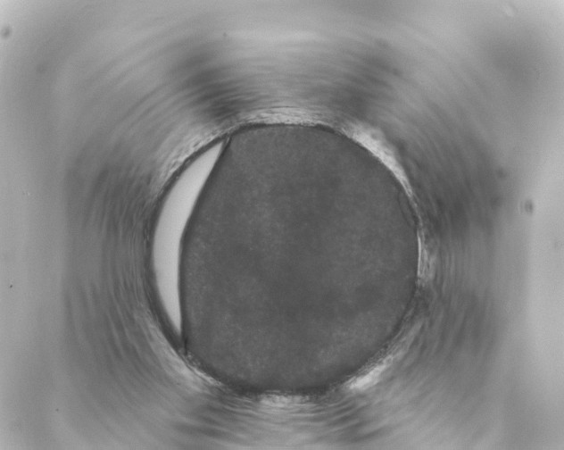 X0000088590109200706221351