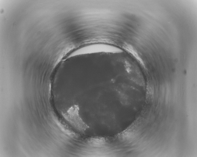 X0000088590110200706221351