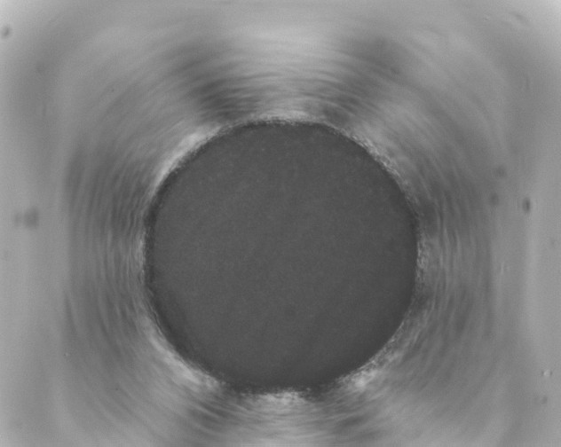 X0000088590112200706221351