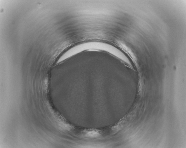 X0000088590113200706221351