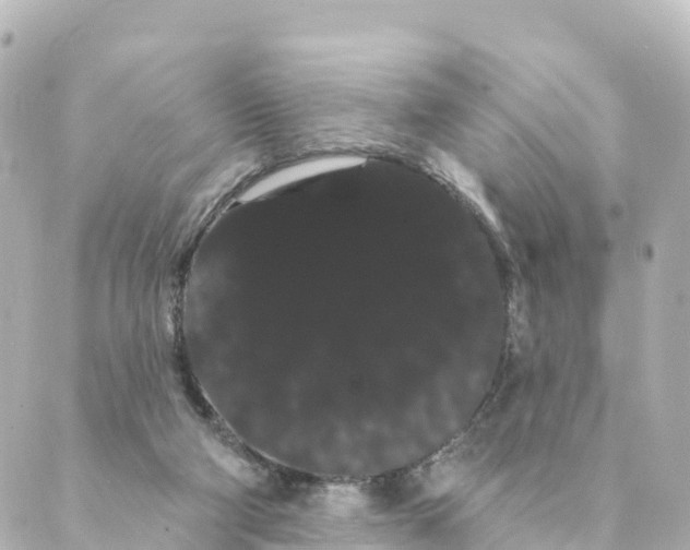 X0000088590114200706221351