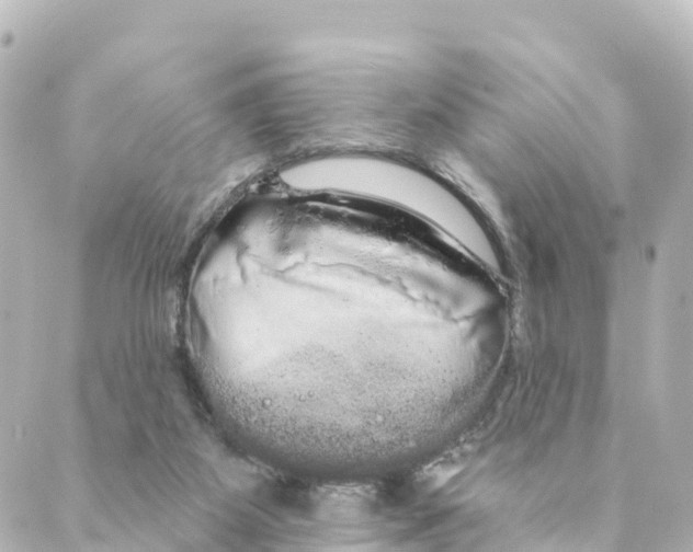 X0000088590115200706221351