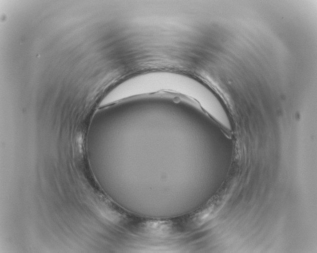 X0000088590117200706221351