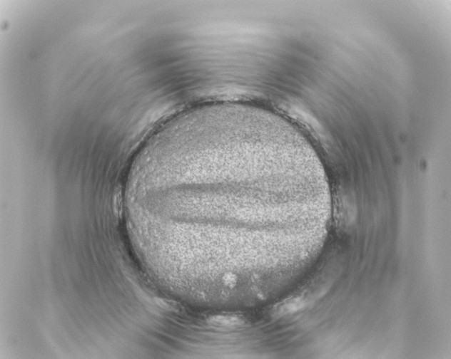 X0000088590119200706221351