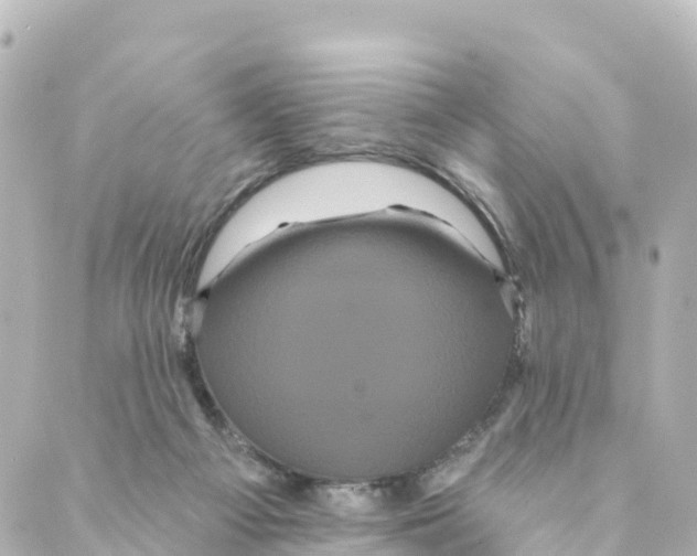 X0000088590121200706221350