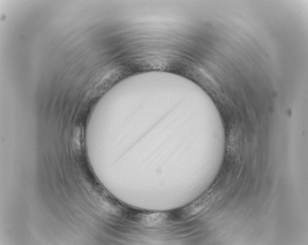 X0000088590122200706221350