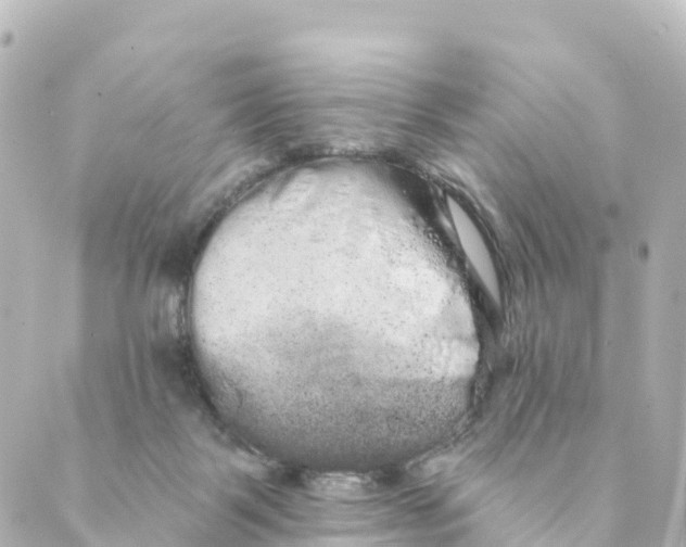 X0000088590123200706221350