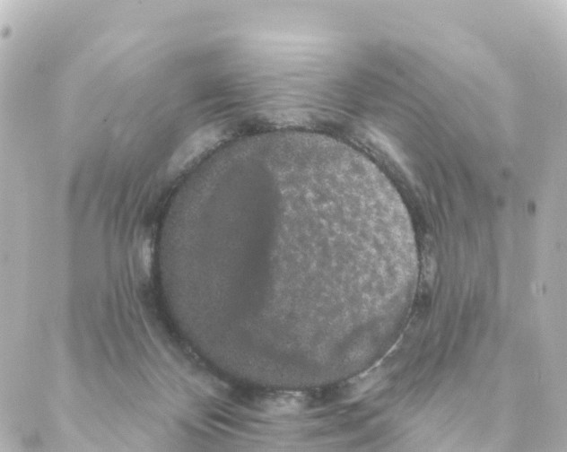 X0000088590124200706221350