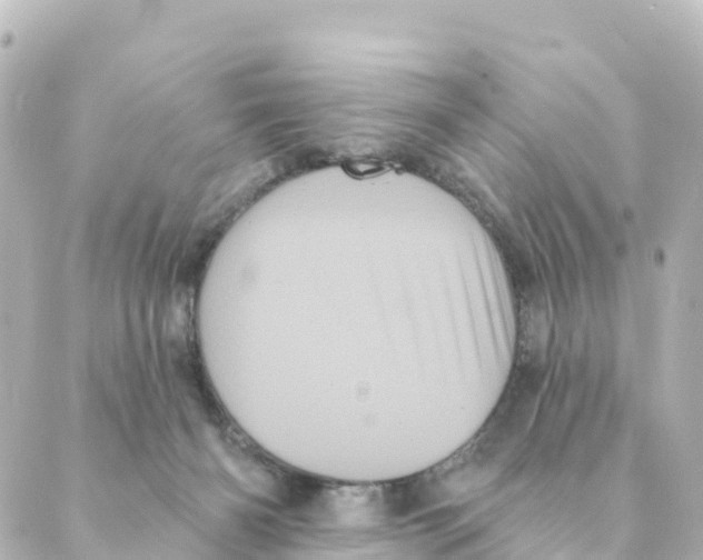 X0000088590126200706221350