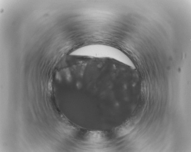 X0000088590127200706221350